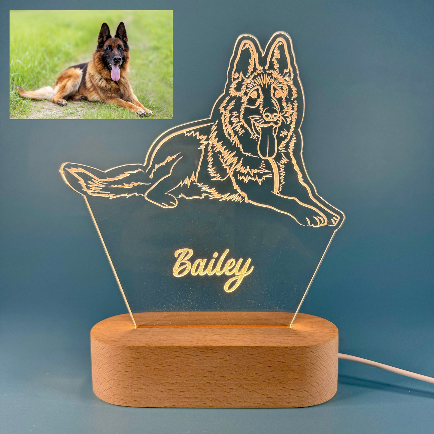 Custom LED Night Light for Pet Lovers – Personalized with Your Pet's Photo & Name!