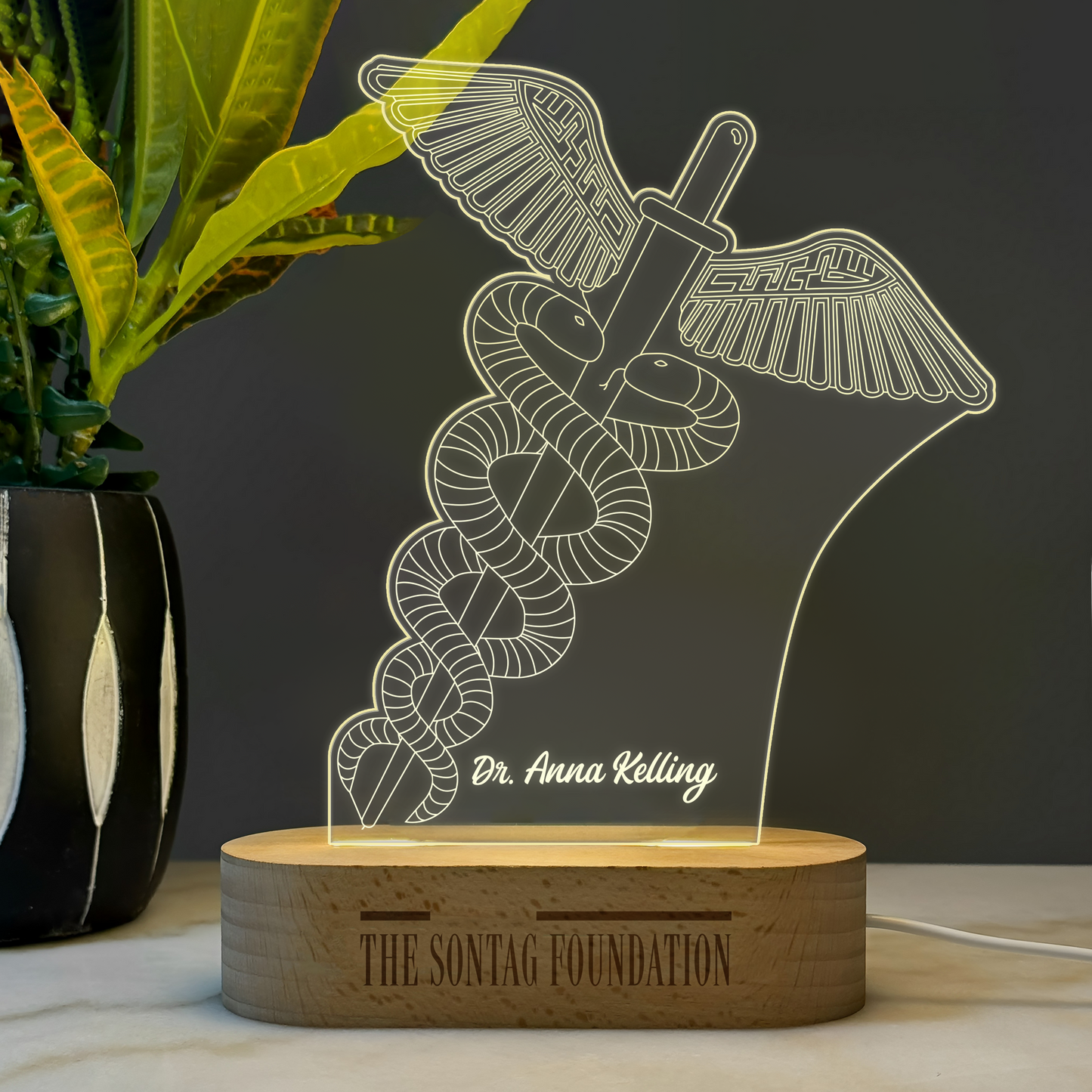 Custom Award | Nightlight | Gift for MD
