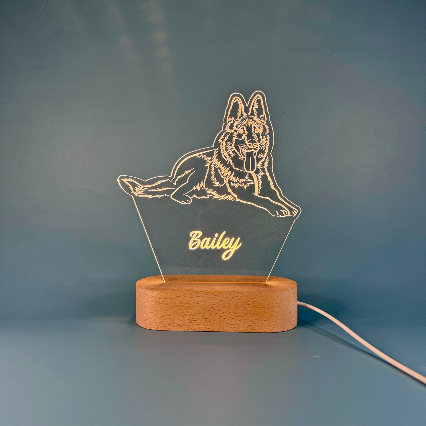 Custom LED Night Light for Pet Lovers – Personalized with Your Pet's Photo & Name!