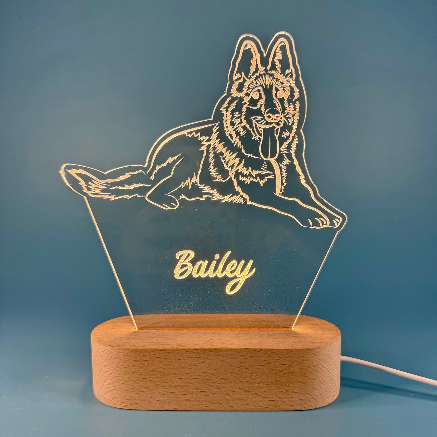 Custom LED Night Light for Pet Lovers – Personalized with Your Pet's Photo & Name!