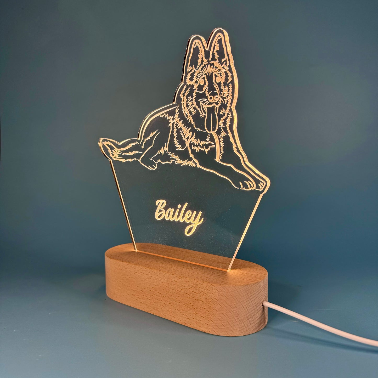 Custom LED Night Light for Pet Lovers – Personalized with Your Pet's Photo & Name!