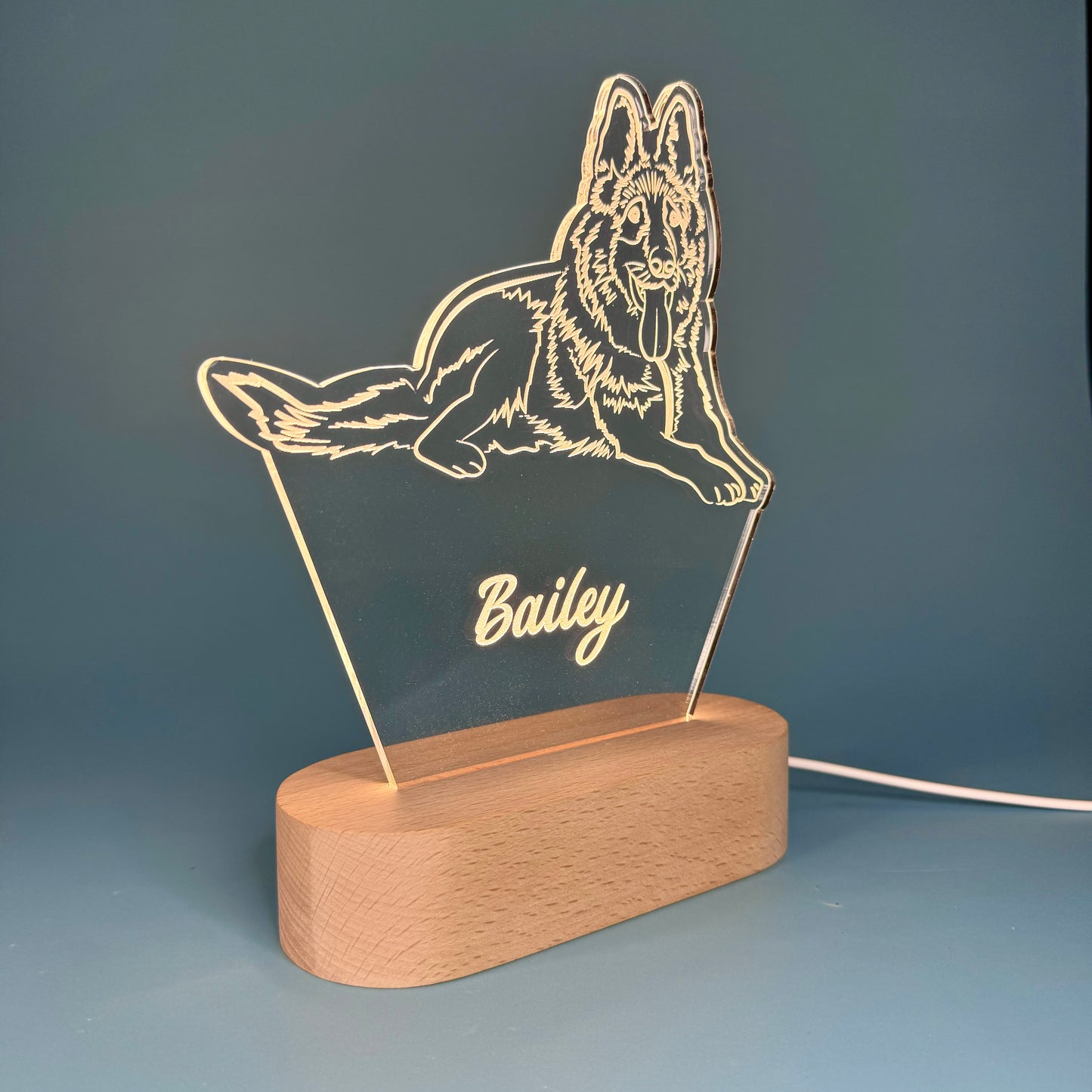 Custom LED Night Light for Pet Lovers – Personalized with Your Pet's Photo & Name!