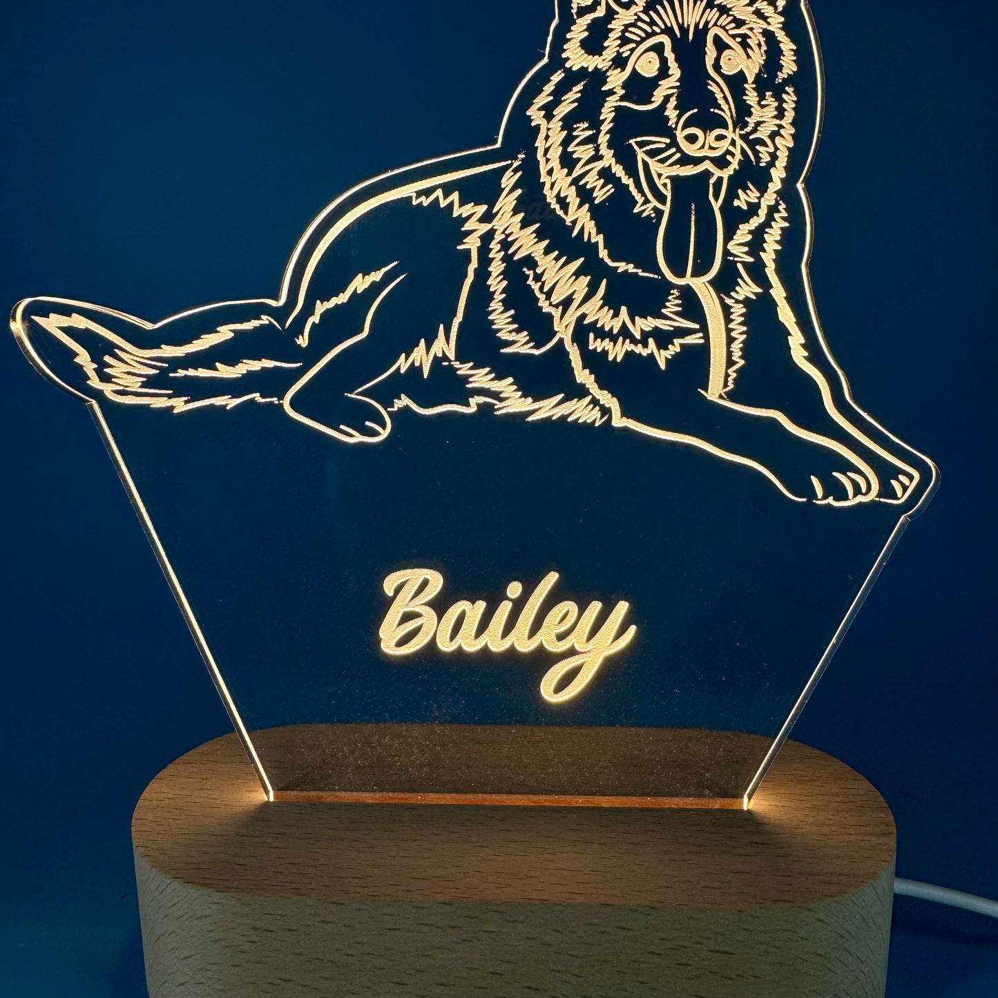 Custom LED Night Light for Pet Lovers – Personalized with Your Pet's Photo & Name!