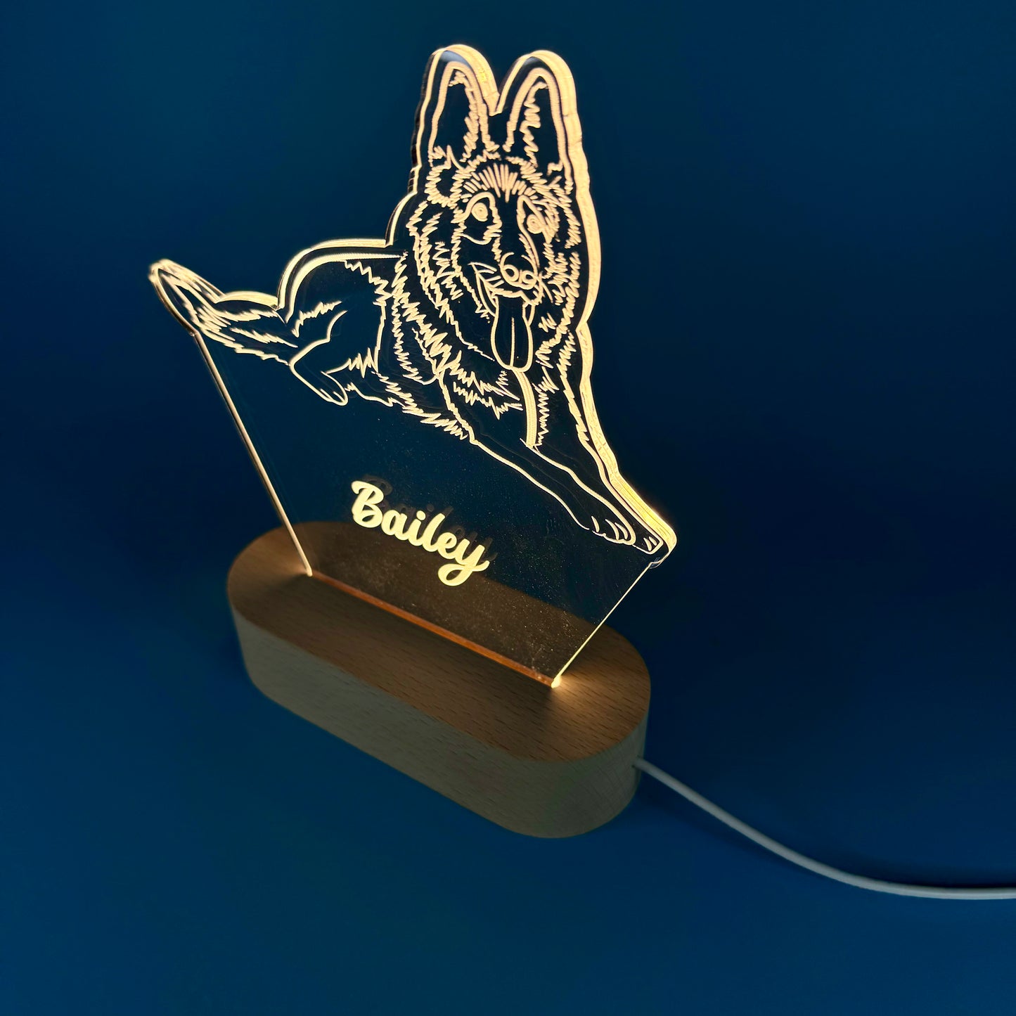 Custom LED Night Light for Pet Lovers – Personalized with Your Pet's Photo & Name!