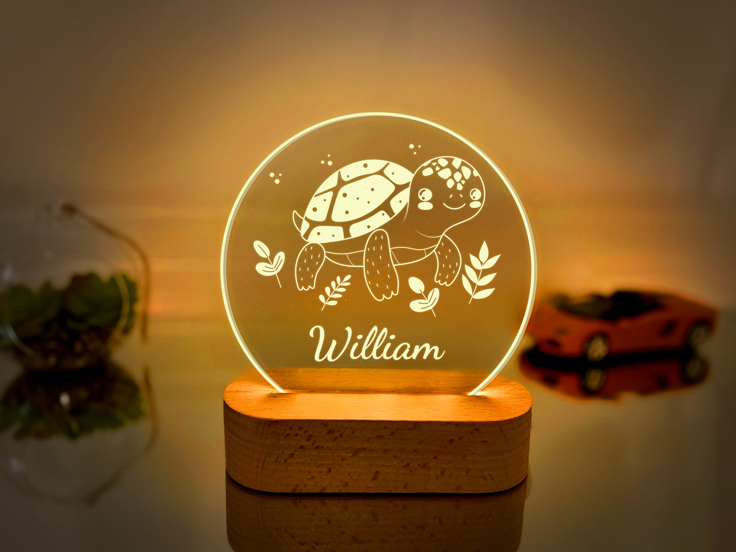 Turtle Night Light for Kids