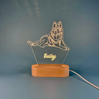 Custom LED Night Light for Pet Lovers – Personalized with Your Pet's Photo & Name!